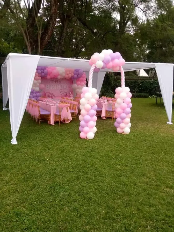 Canopy Tent 17x17ft for hire in Nairobi - photo 2